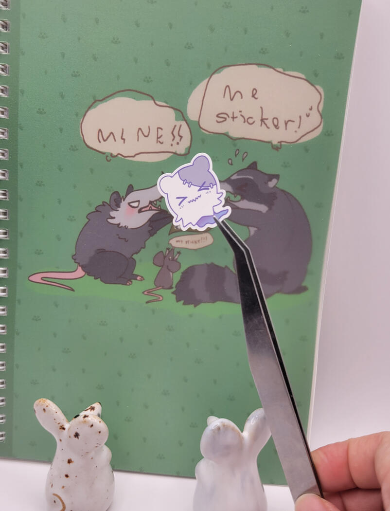 Possum &amp; Raccoon Stickerbook